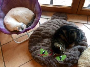Bild von Indira