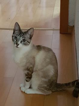 Nyam Bild von Nyam