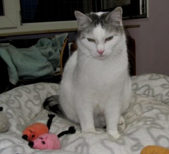 Fienchen Bild von Fienchen