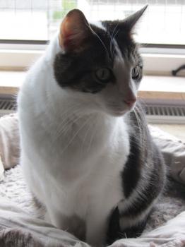 Taramis Bild von Taramis