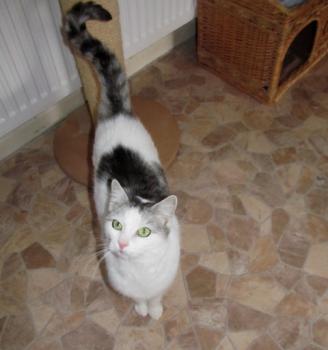 Fienchen Bild von Fienchen