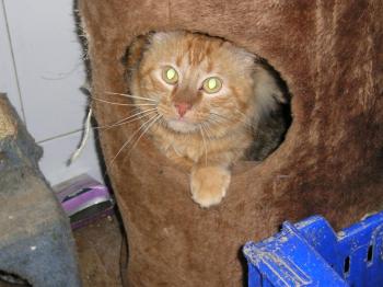 Billy Bild von Billy