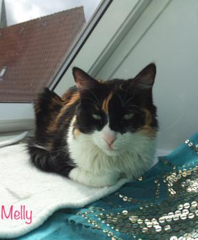 Melly Bild von Melly