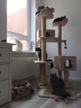 Yasmin Bild von Yasmin