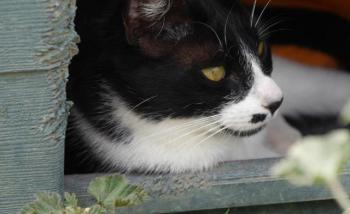 Bascha Bild von Bascha