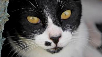 Bascha Bild von Bascha