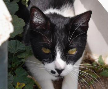 Bascha Bild von Bascha