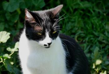 Bascha Bild von Bascha