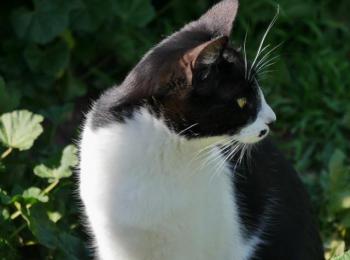 Bascha Bild von Bascha