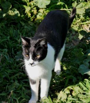 Bascha Bild von Bascha