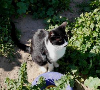 Bascha Bild von Bascha