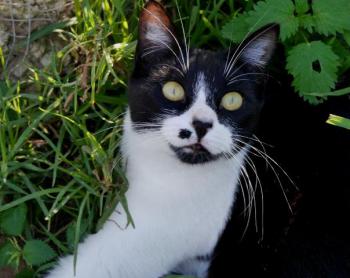Bascha Bild von Bascha