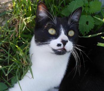 Bascha Bild von Bascha