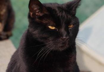 Miki Bild von Miki
