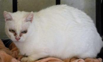 Nathan Bild von Nathan