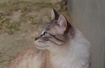 Soli Bild von Soli