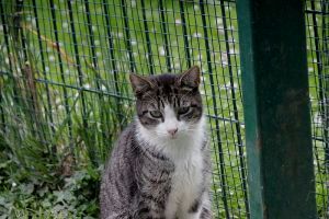 Bild von Bittor