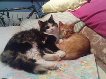 Pitu und Mara Bild von Pitu