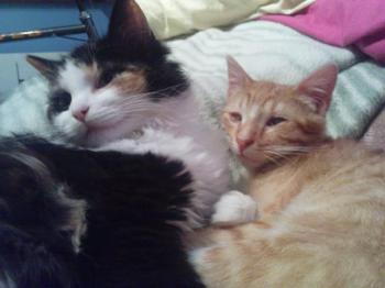 Pitu und Mara Bild von Pitu