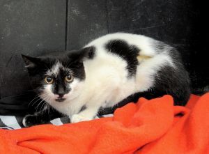 Sabrina Bild von Sabrina