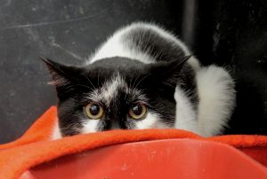 Sabrina Bild von Sabrina