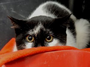 Sabrina Bild von Sabrina