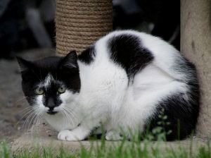 Sabrina Bild von Sabrina