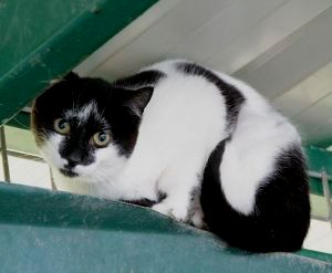 Sabrina Bild von Sabrina