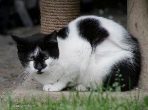 Sabrina Bild von Sabrina