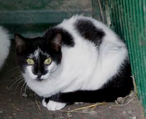 Sabrina Bild von Sabrina