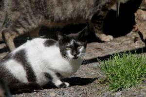 Sabrina Bild von Sabrina