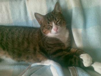 Rayito Bild von Rayito