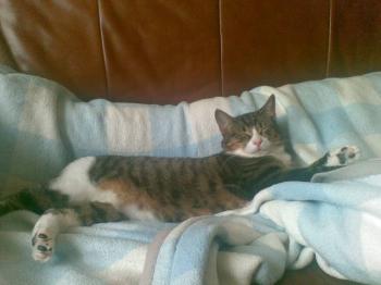 Rayito Bild von Rayito