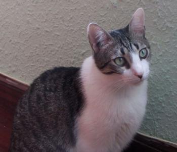 Abrile Bild von Abrile