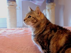 Fiona Bild von Fiona
