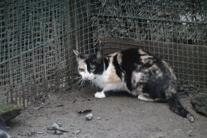Gunilla Bild von Gunilla