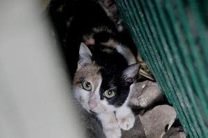 Gunilla Bild von Gunilla