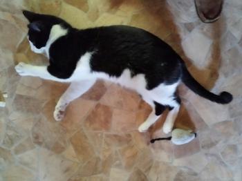 Curro Bild von Curro