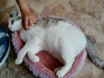 Fienchen Bild von Fienchen