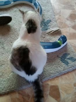 Fienchen Bild von Fienchen