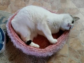 Fienchen Bild von Fienchen