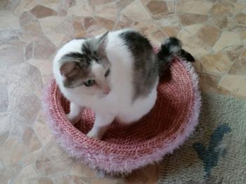 Fienchen Bild von Fienchen