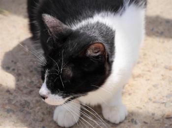 Bascha Bild von Bascha