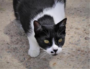 Bascha Bild von Bascha