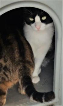 Kito Bild von Kito