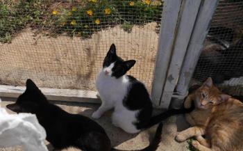 Bia Bild von Bia