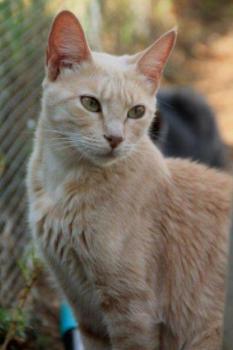 Mabelle Bild von Mabelle