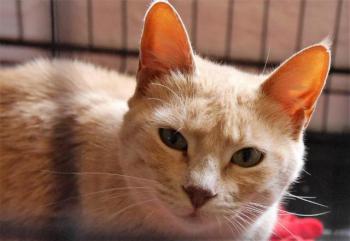 Mabelle Bild von Mabelle
