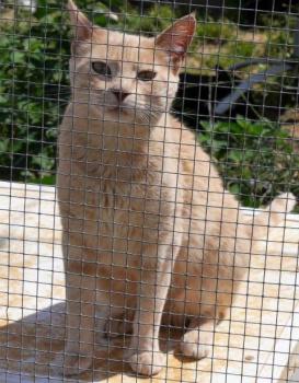 Mabelle Bild von Mabelle