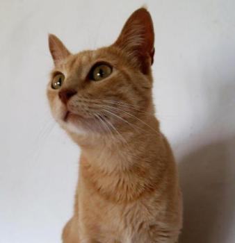 Mabelle Bild von Mabelle